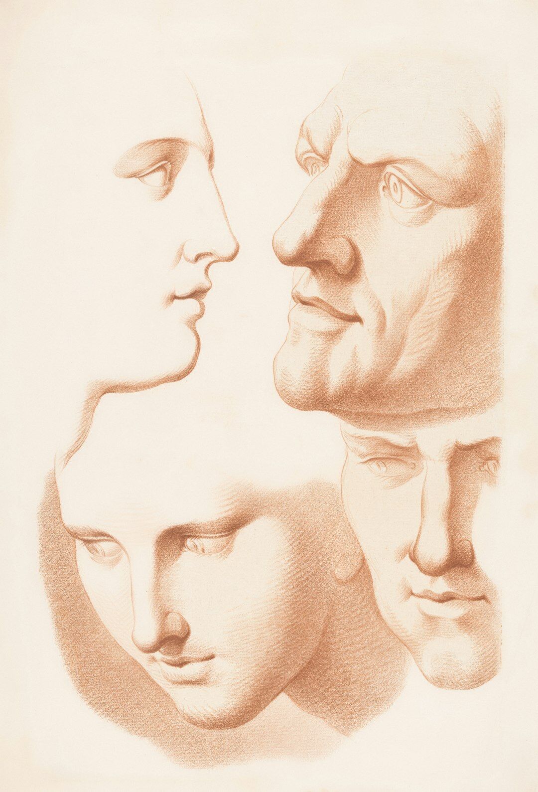 forgotten faces portrait