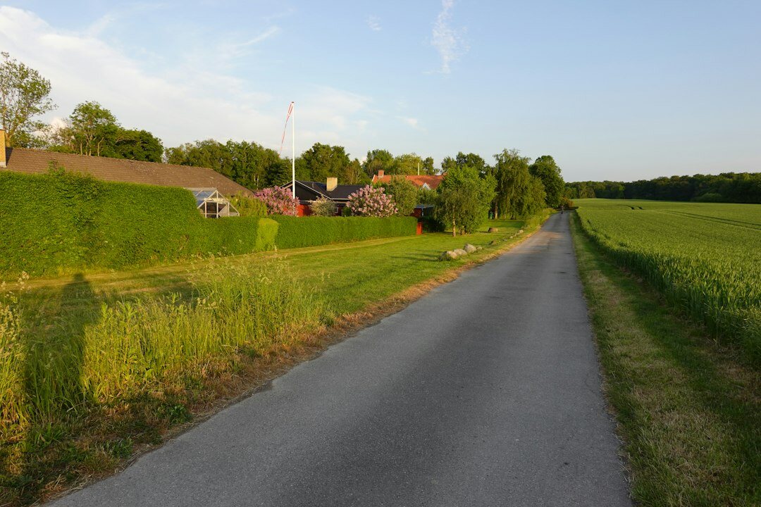 children playing in field